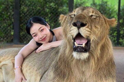 Phuket City tour with Lion Experience (Best Seller)