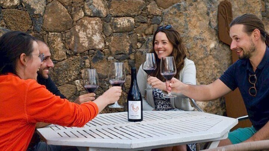Vineyard Tour with Wine and Cheese Tasting in Fuerteventura