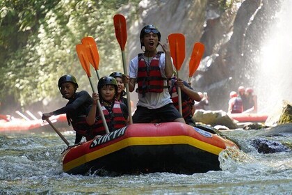 Guided Private Ubud White Water Rafting