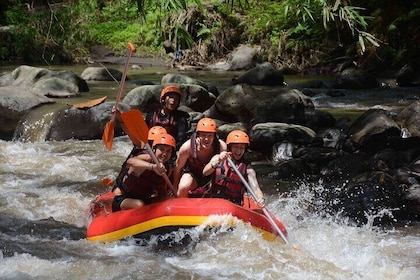Telaga Waja River Rafting & Zipline (BCR) (Private Transfer)