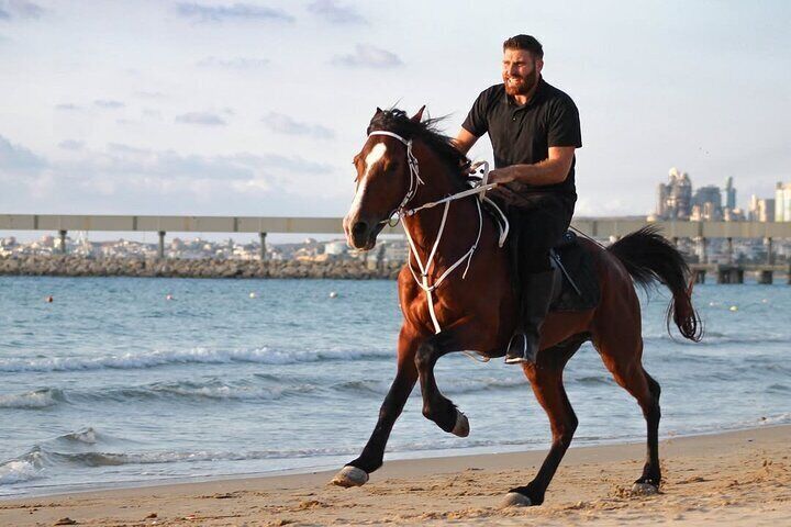 Sunset Beach Horseback Riding in Lebanon