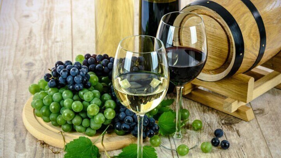 Half Day Wine Tasting and Cape Sounio Tour from Athens