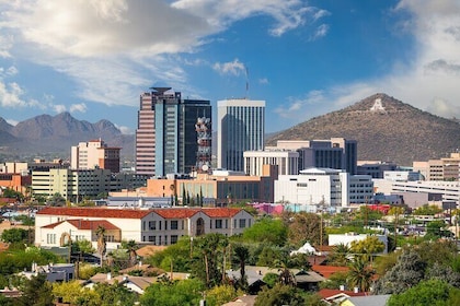 Tucson Bar Crawl: Cacti and Cocktails