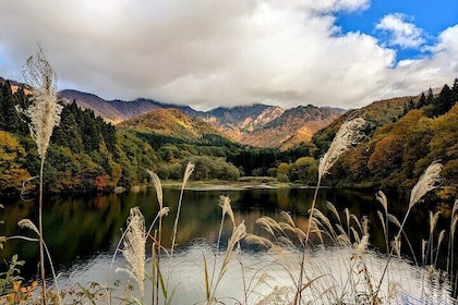 E Bike in Yuzawa Mountain Views Lake Daigenta and Rice Terraces