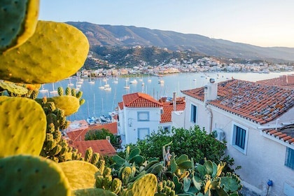 Poros Island Full Day Trip From Athens with Swimming