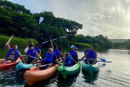 Rainforest Kayak Tour