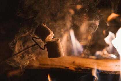 Levi Wilderness Sauna and Dinner