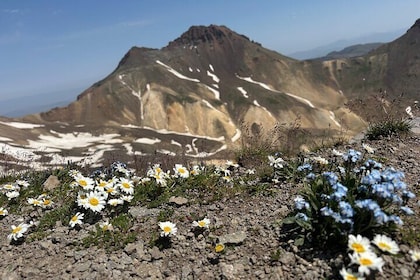 Aragats Mountain Hiking Tour