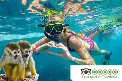 Monkeys jungle and Snorkeling Adventure at sosua beach.