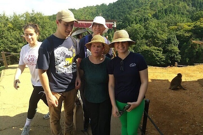 Private Arashiyama Tenryuji Temple Bamboo Grove and Monkeys Tour