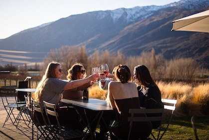 Private Guided Wine Tour Ex Queenstown