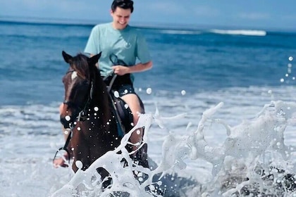 Private Bali Horse ride