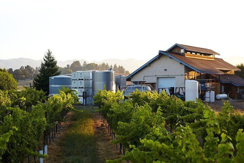 Private Sidecar Winery Tour through San Luis Obispo
