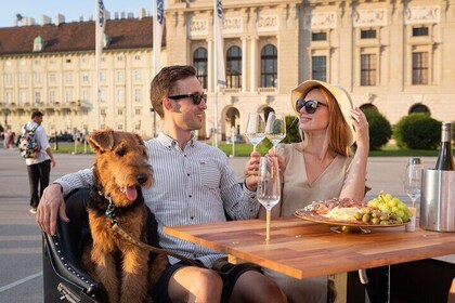 Vienna Wine Tasting Experience in a Classic Oldtimer