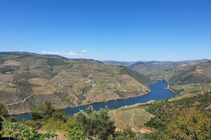 Full-day private Douro Valley Tour from DE Lisbon