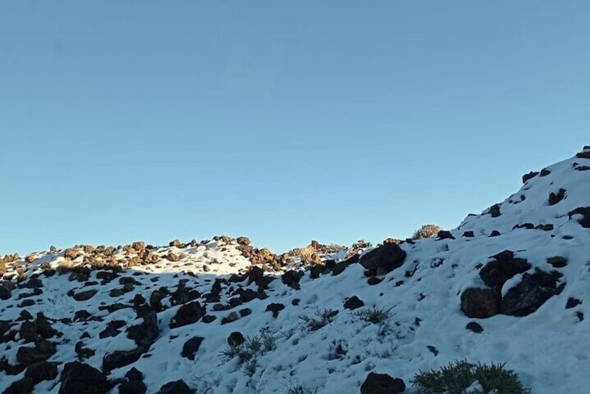 Guided Tour to Teide National Park in Tenerife