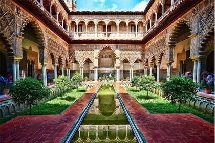Seville Private Tour from Granada