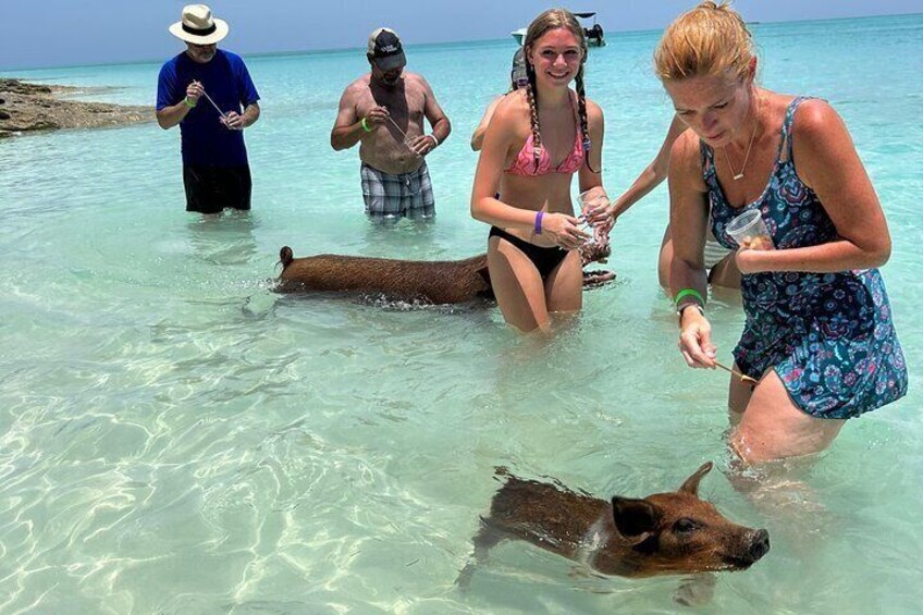 007 Private Beach Club -Swimming Pigs, Snorkeling, Lunch, Drinks 