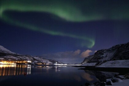Night Sami Adventure Northern Lights and Reindeer Experience