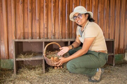 Immerse in the Circular Economy: Educational Nature Tour