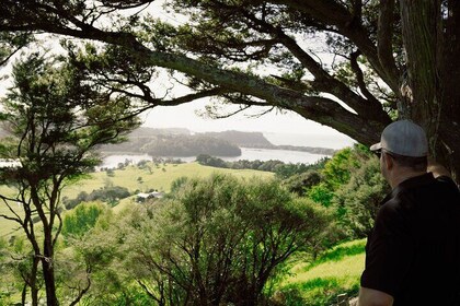 Auckland Private Custom Journeys in Luxury