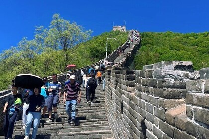Beijing Great Wall Badaling or Mutianyu with Transfer[Optional]