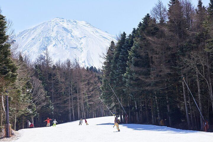 Mt. Fuji View with Fujiten Snow Fun & Oishi Park Tour from Tokyo