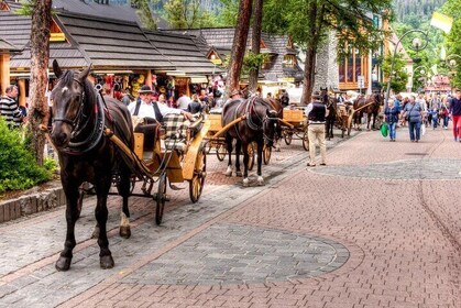 Zakopane Day Tour from Krakow