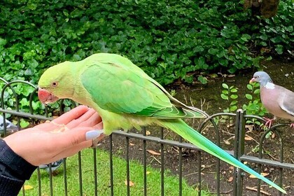 Self-Guided Audio Tour of Knightsbridge and South Kensington