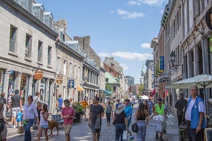 Visit Montreal Half Day