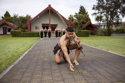 Rotorua: Te Rā Guided Experience + Haka