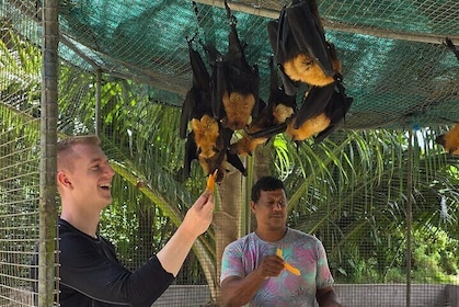 Day Tour Vallee de Mai Praslin Museum and Anse Lazio