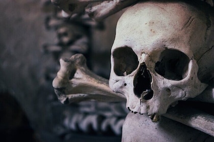 Step Back in Time: Discover Kutna Hora’s Magic with Mytripline