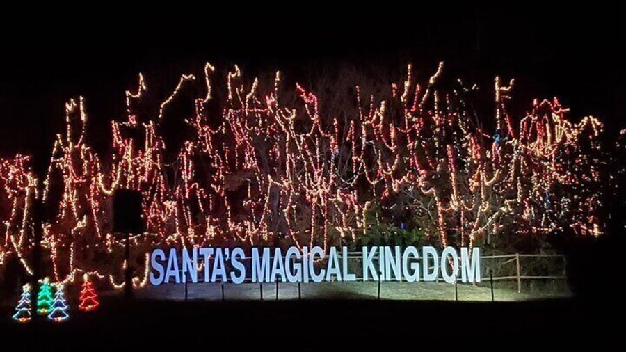 Custom Event Services and Tours for Unforgettable Experiences