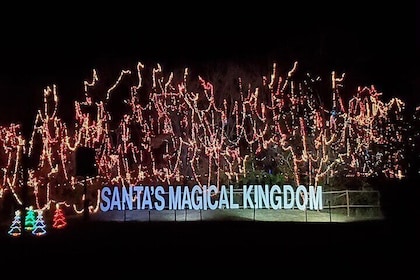 Custom Event Services and Tours for Unforgettable Experiences