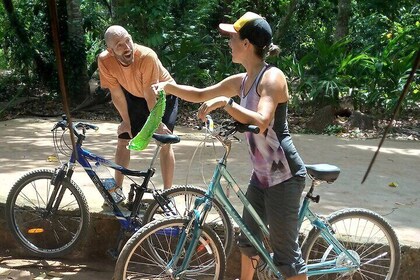Spice Farm Bike Tour Pedal Through Aromatic Adventures