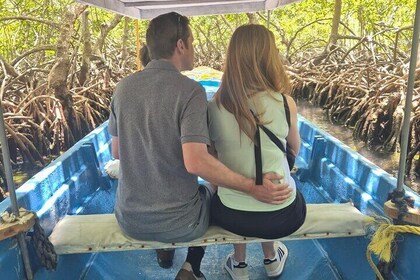 Roatan East side Mangrove Tunnel Tour