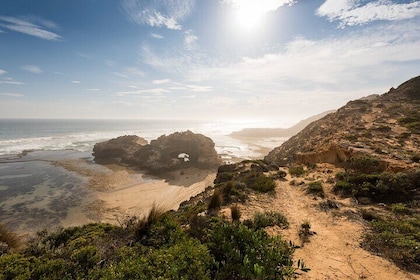 Mornington Peninsula Private Day Tour