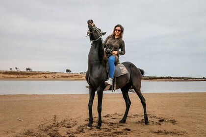 Horseback 2 Hours Adventure through Forest & River - Agadir