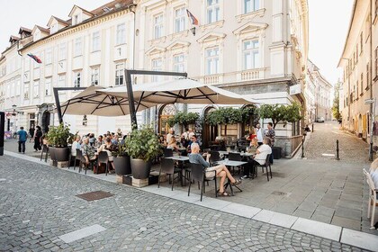 Slovenian Wine Tasting Experience at Wine Bar Šuklje