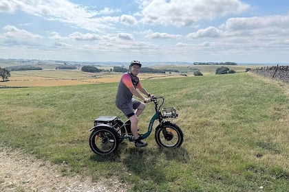 4 Hour eTrike Pedal and Picnic Meadows Tour