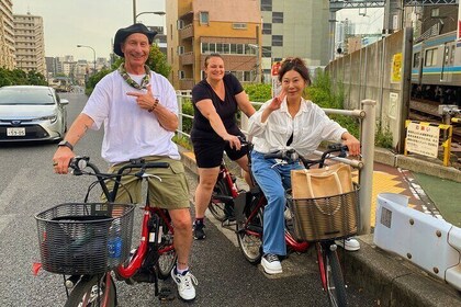 Tokyo Night E-Bike Tour with Tokyo Tower and Dolphin Show