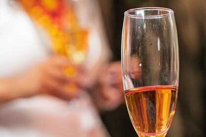 Sip and Learn Tequila Tasting in Mexico