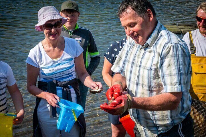 Private Oyster Farm Guided Tour & Tasting. Clew Bay, County Mayo