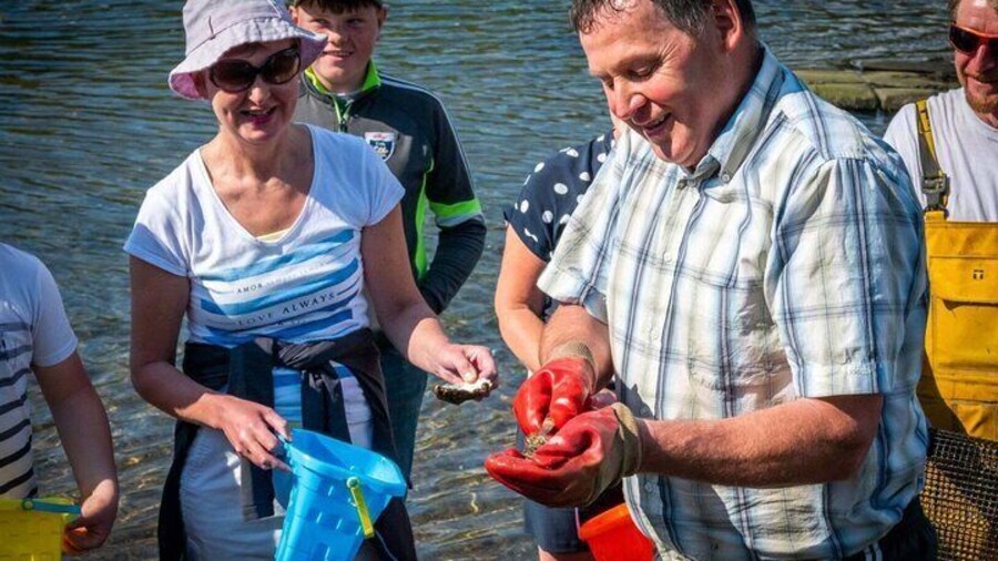 Private Oyster Farm Guided Tour & Tasting. Clew Bay, County Mayo