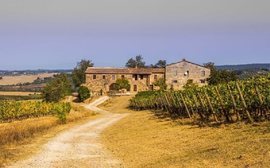 Safari Chianti Experience on a quad with picnic