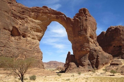 AlUla Wonders: A Full Day 4x4 Tour Through Nature and History