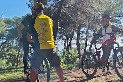 Dominate the Trails With the Basic MTB Course