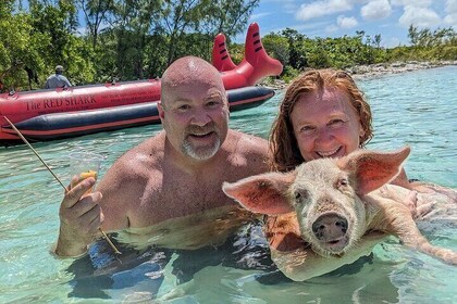 Private Swim With Pigs and Snorkelling in Paradise Tour