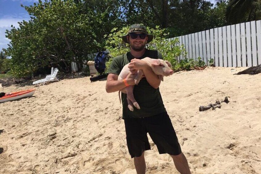 Private Swim With Pigs and Snorkeling in Paradise Tour